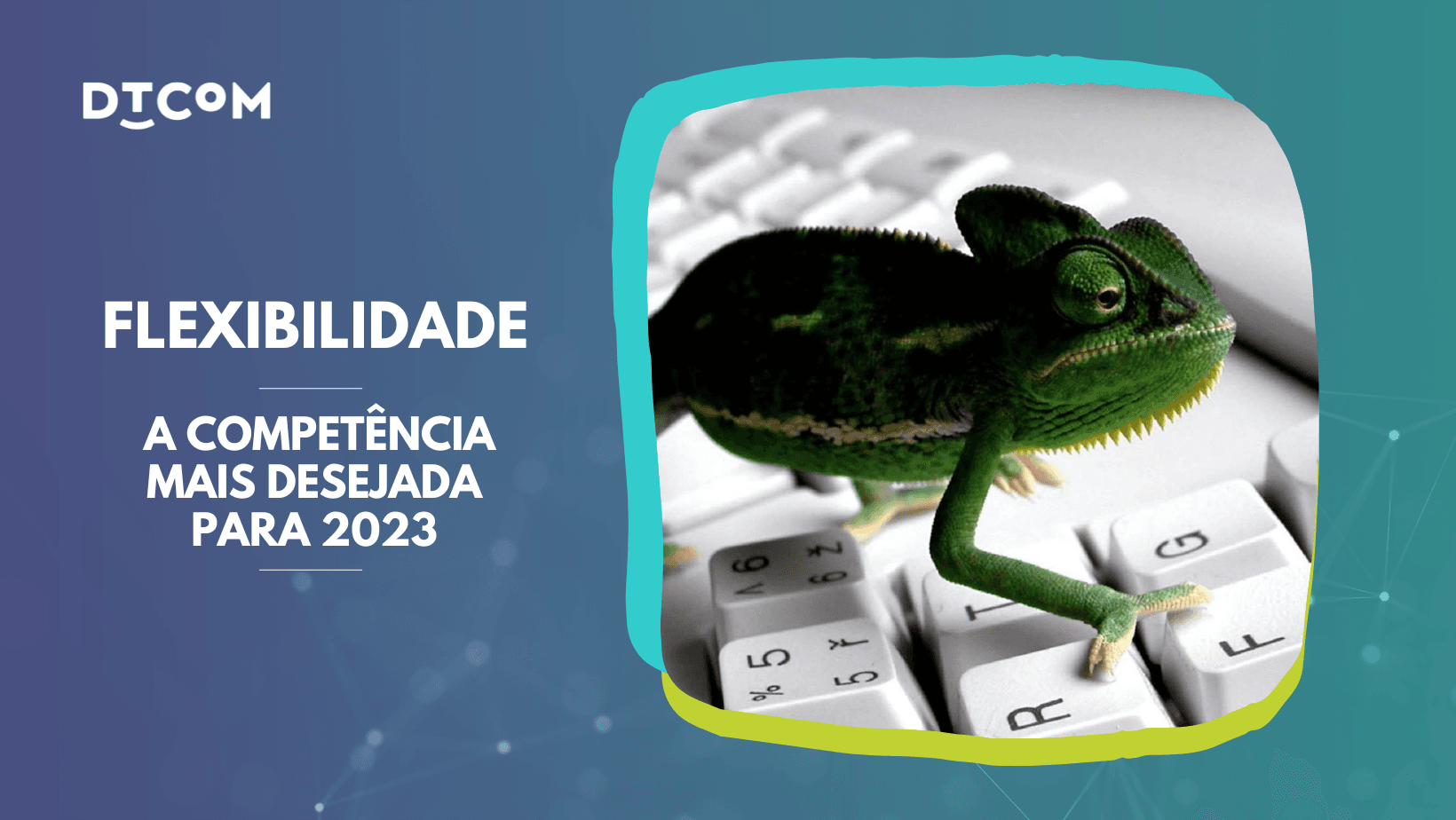 Competência Flexibilidade